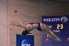Women's Diving  Wheaton College Women’s Diving vs Mount Holyoke College. - Photo by Keith Nordstrom : Wheaton, Swimming & Diving